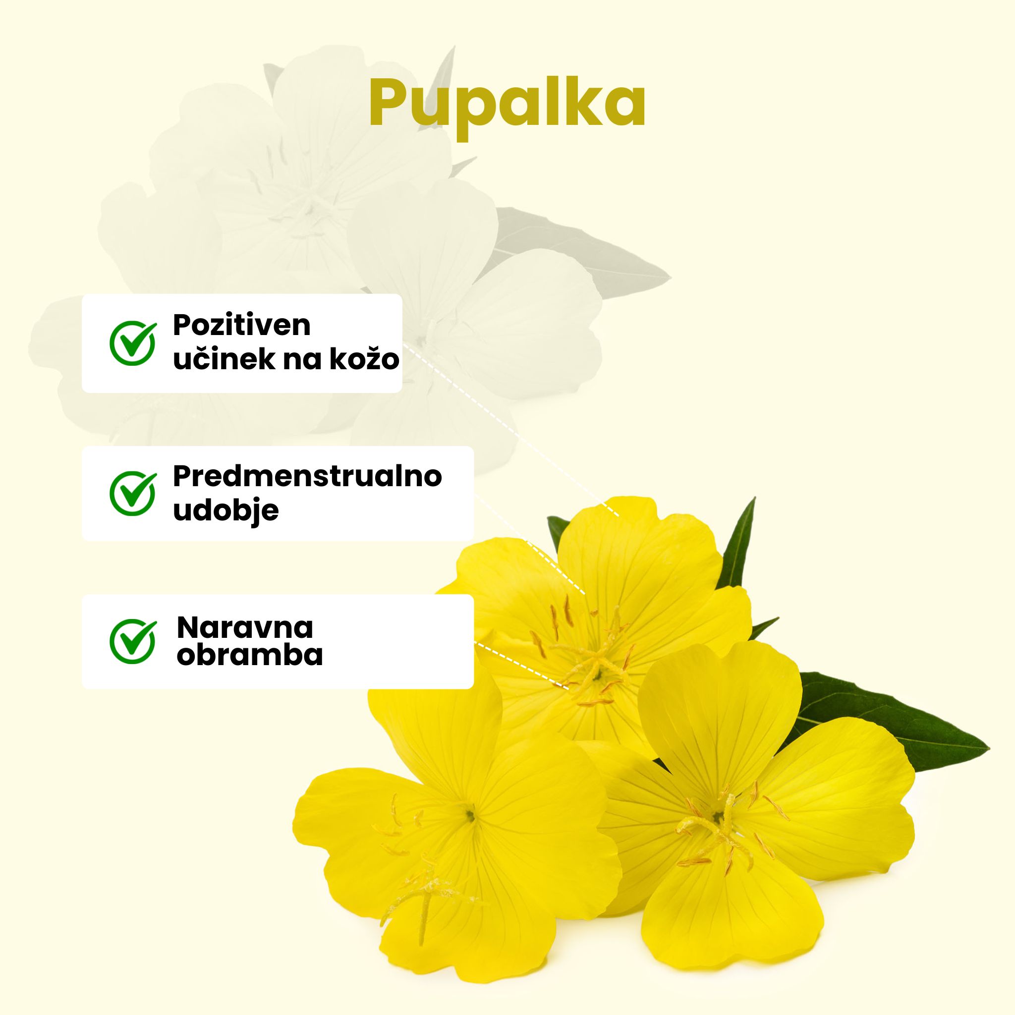 (Slovinština) Pupalka